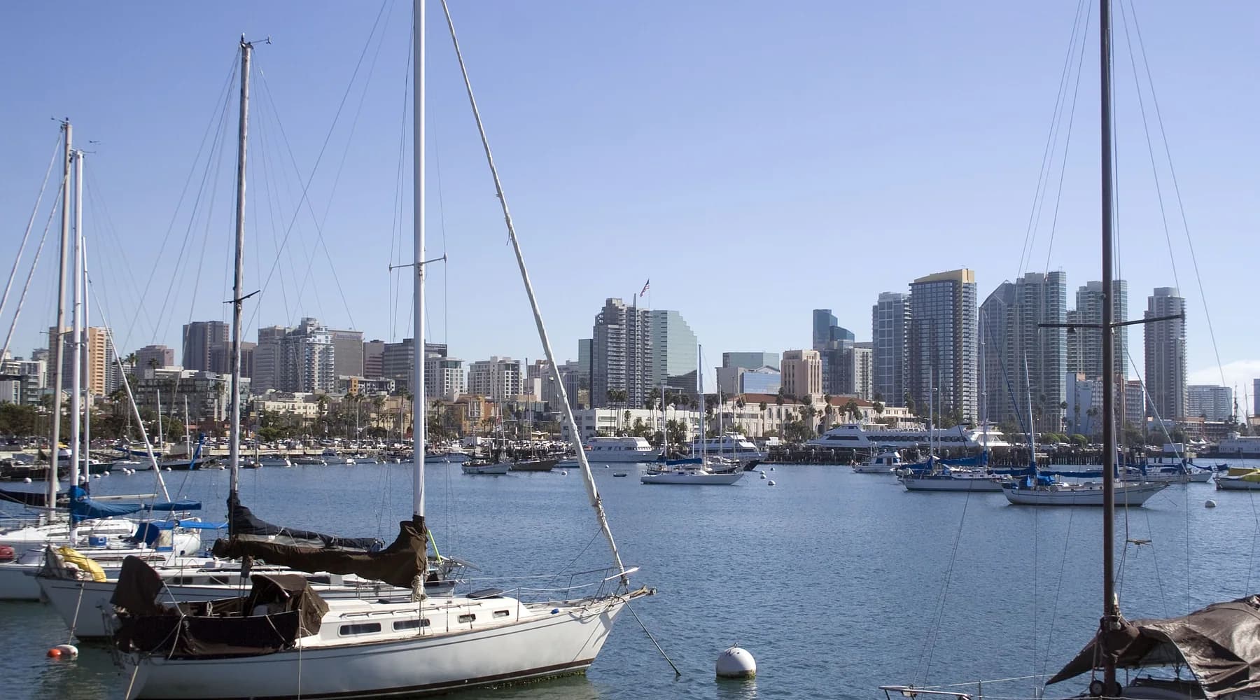 San Diego waterfront skyline viewed across a marina