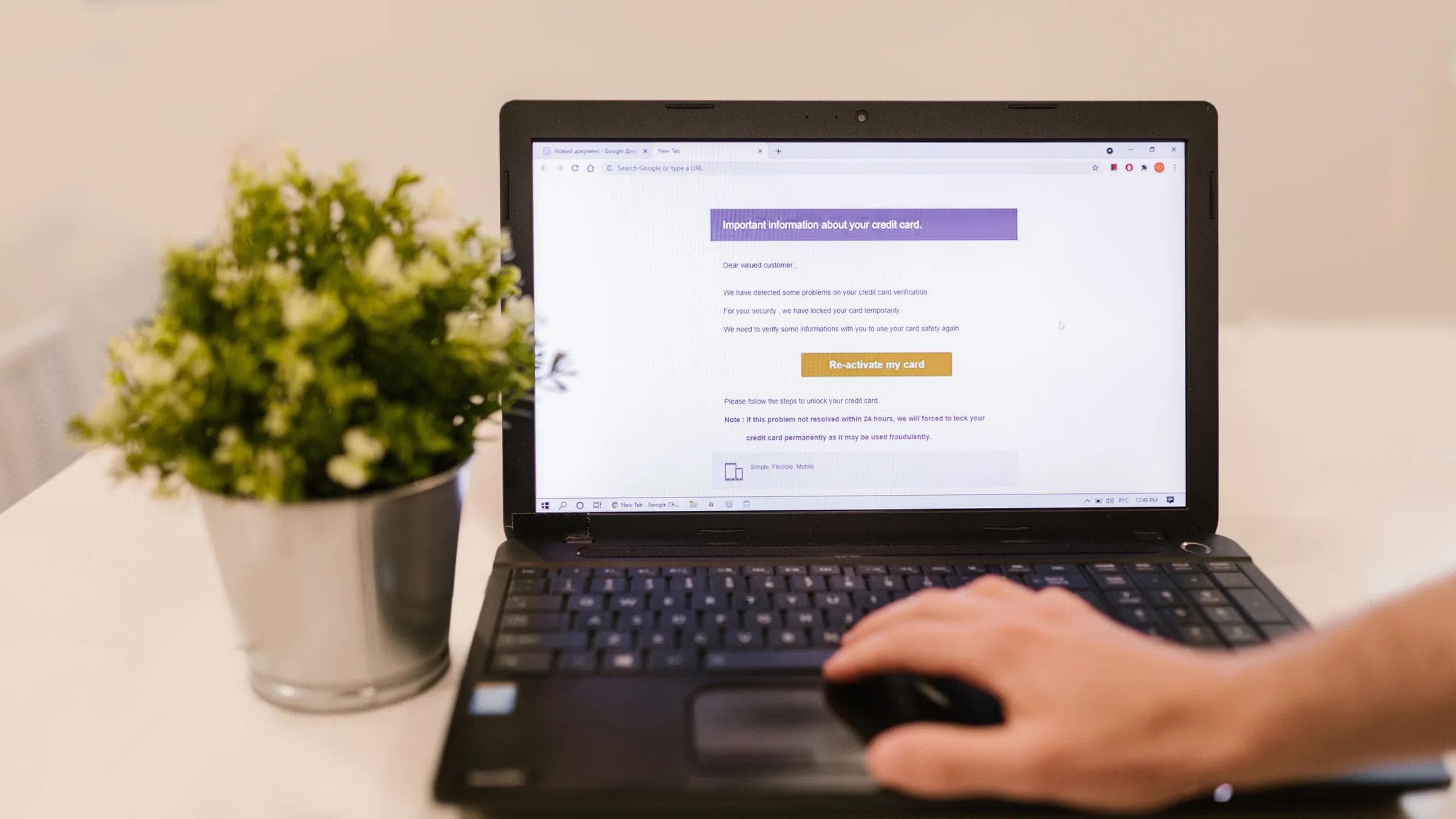 Person using a laptop to read an email indoors beside a potted plant.