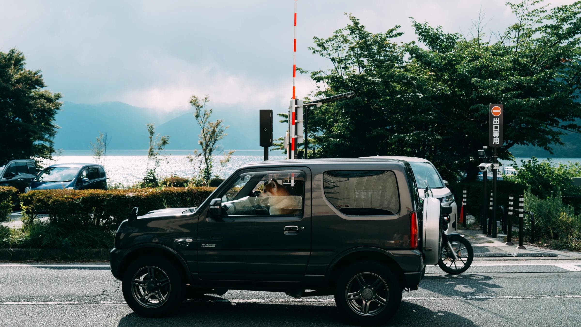 A dog sits in a car by a scenic roadside with a serene lake in the background, near lush greenery.