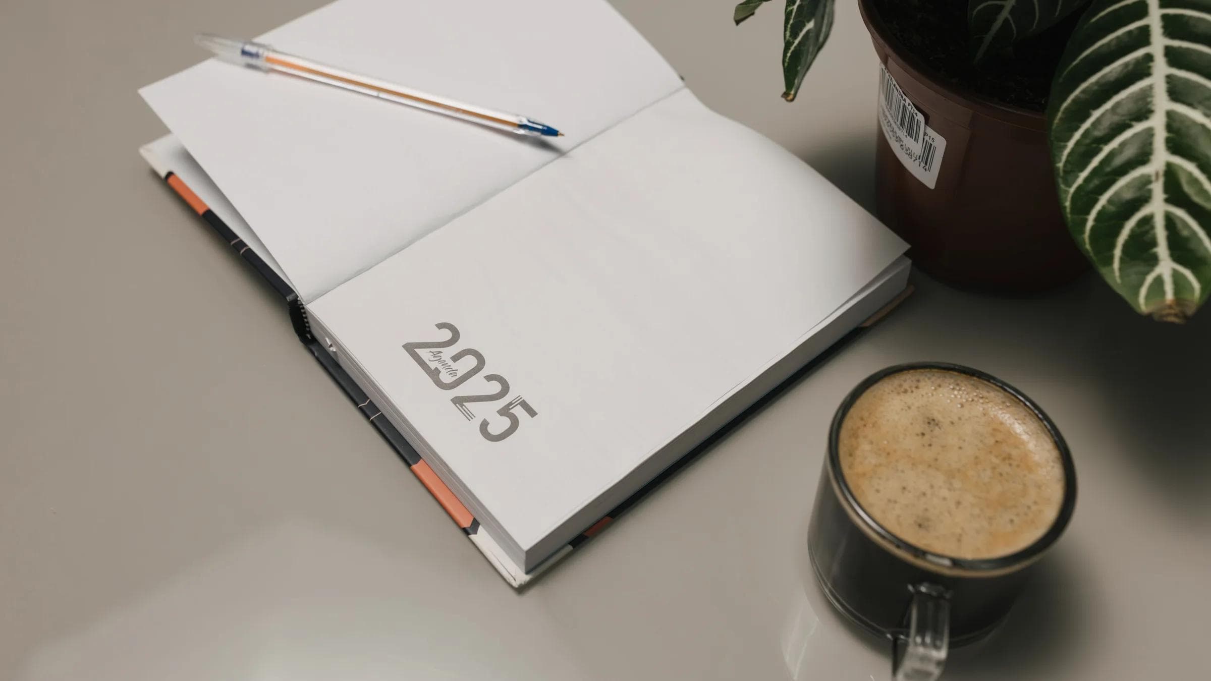 Open 2025 planner with a pen, coffee, and potted plant on a desk.